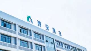 10.75,IPO,募资,立新,涉嫌,违反 涉嫌违反IPO募资承诺 凯立新材10.75亿元再融资惹争议