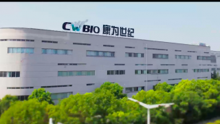 破发,康为,募投,缠身,延期,麻烦 募投项目延期、股东计划减持、上市次年亏损、股价破发 康为世纪“麻烦缠身”